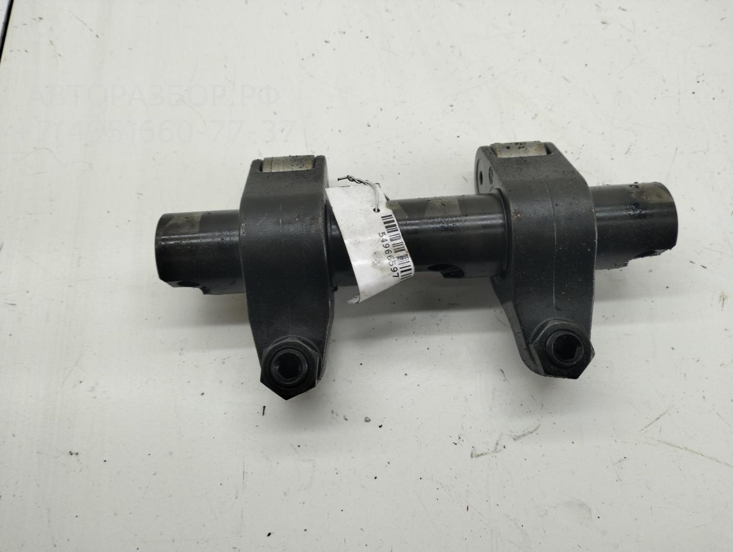 Ось коромысел