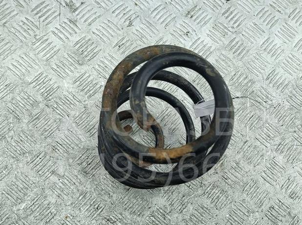 Пружина задняя