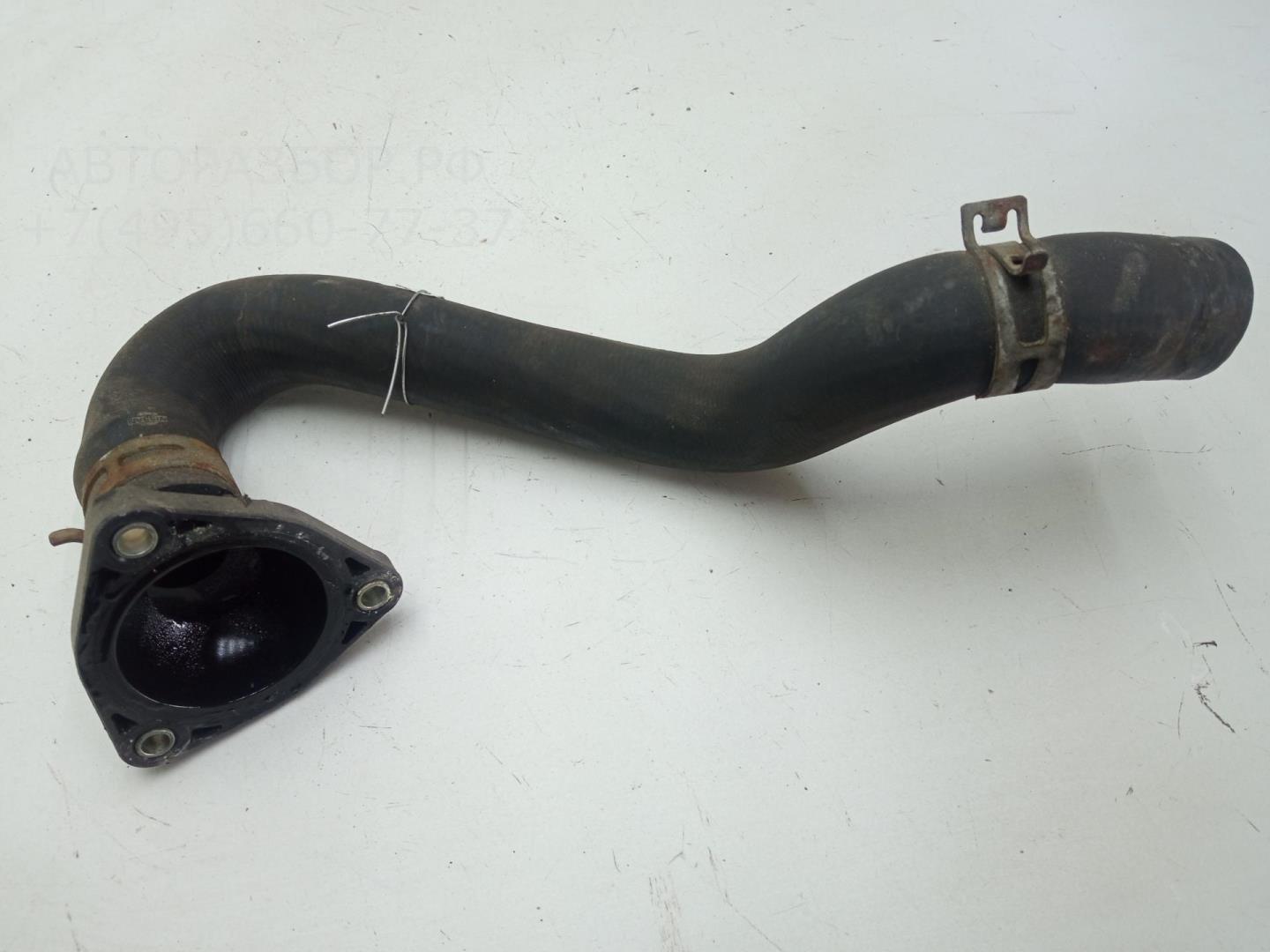 Патрубок радиатора