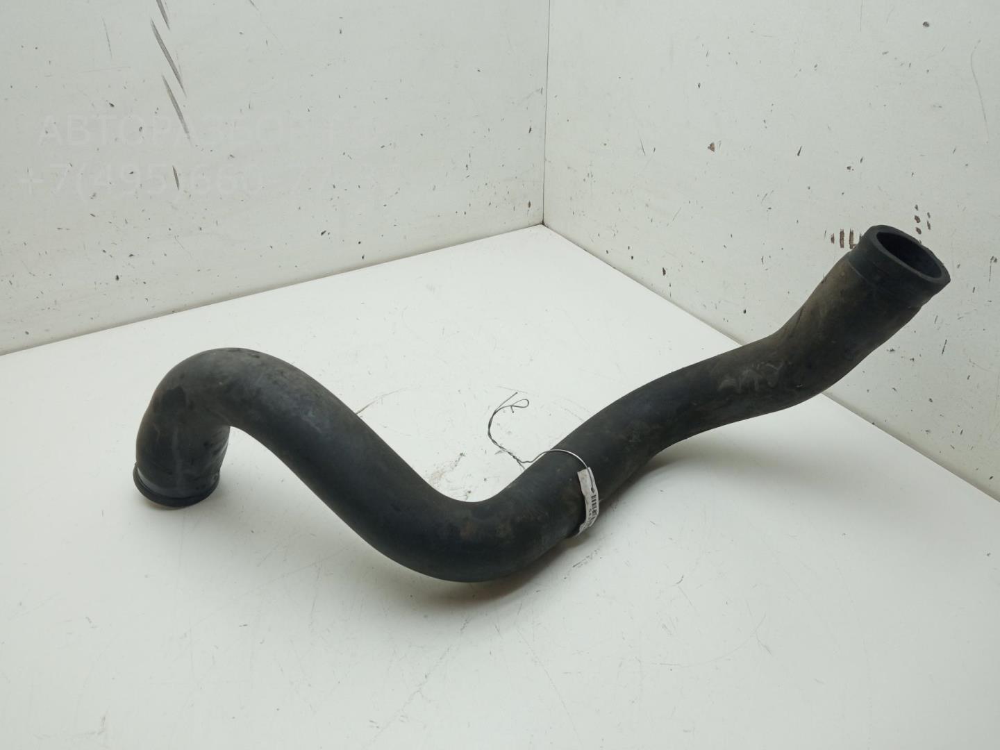 Патрубок радиатора