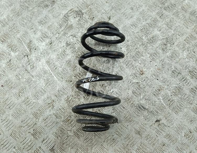Пружина задняя