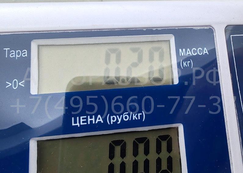 Шкив водяного насоса (помпы)