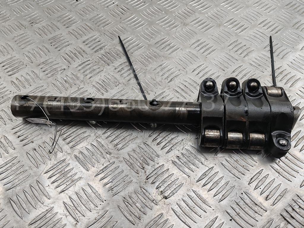 Ось коромысел