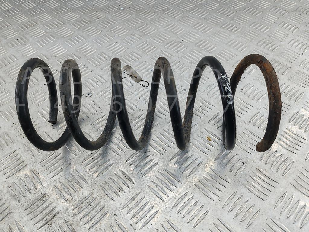 Пружина задняя