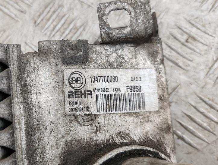 Интеркулер