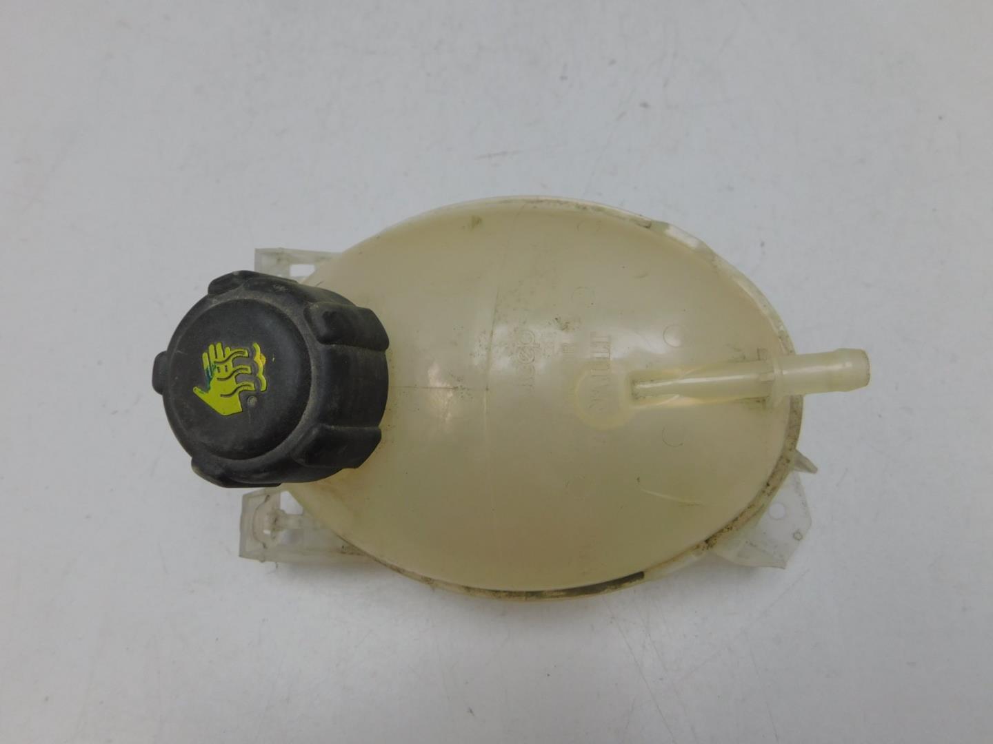 Бачок расширительный для Duster (HS) 2010-2021