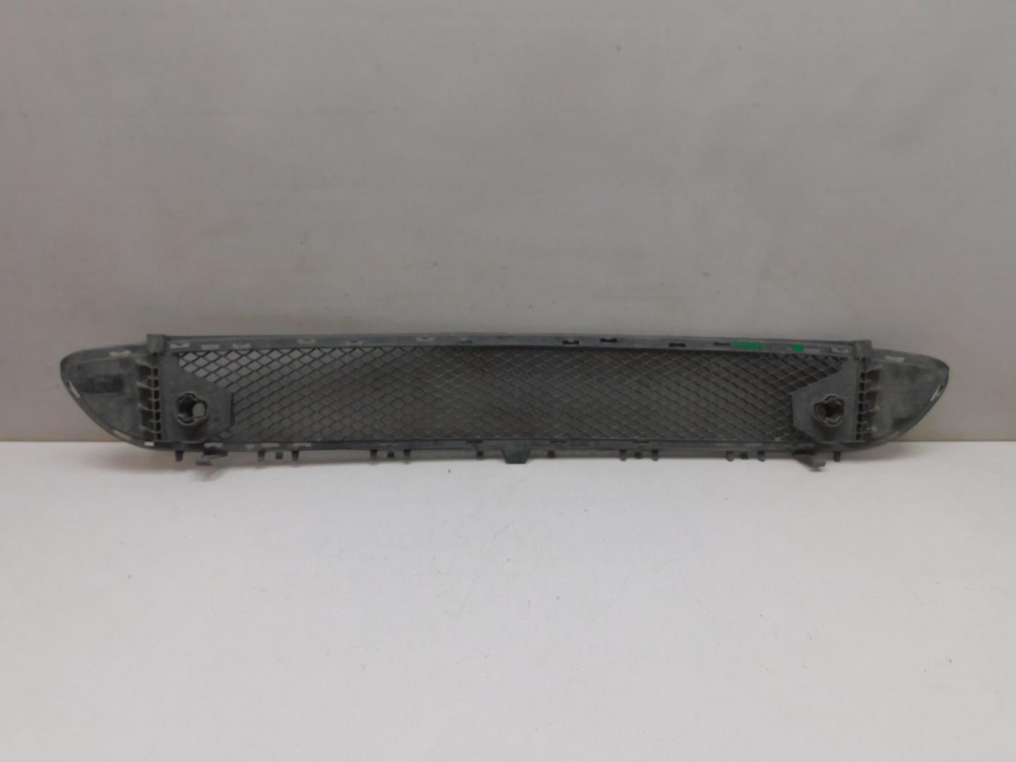 Решетка в бампер центральная