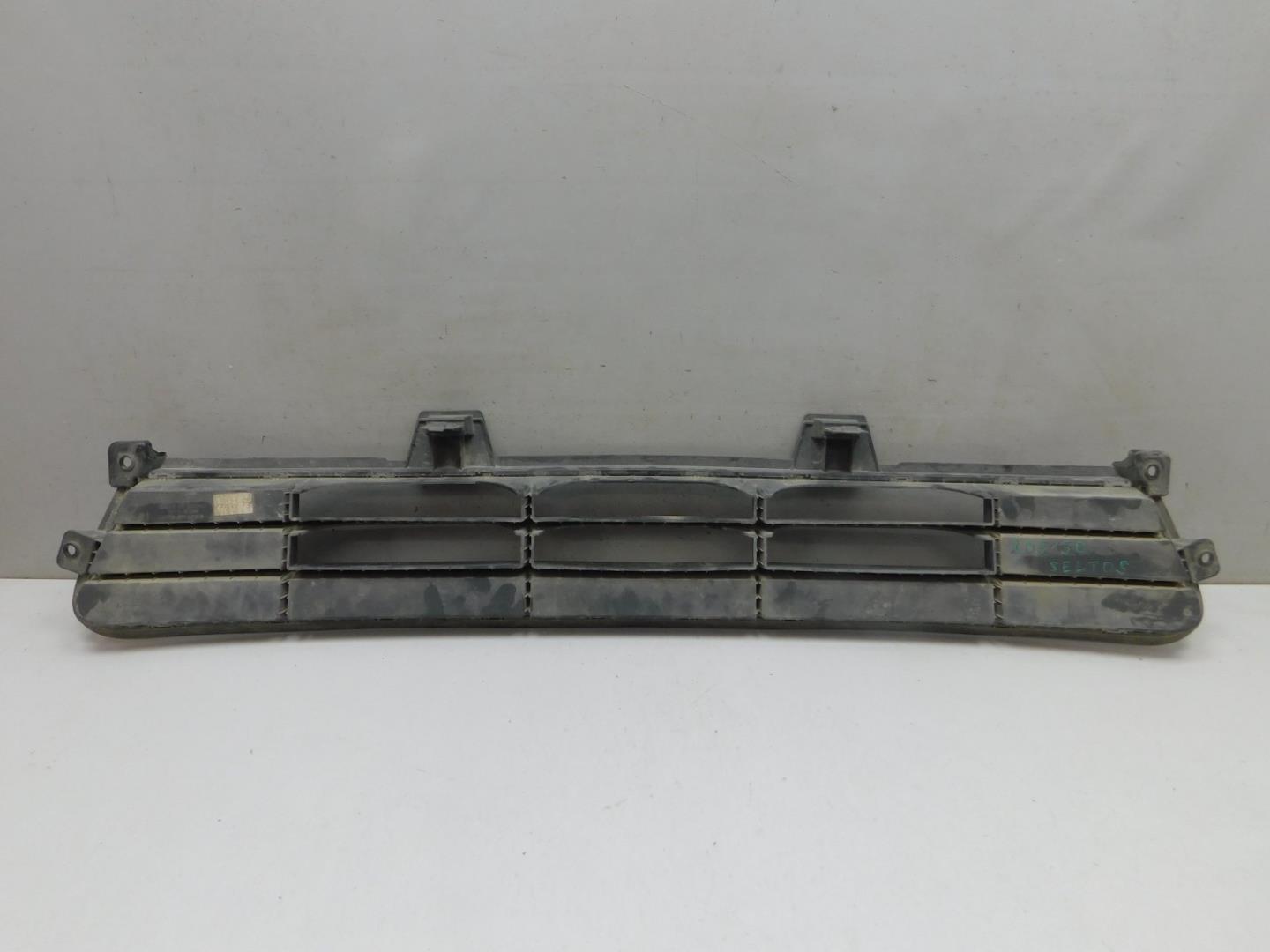 Решетка в бампер центральная