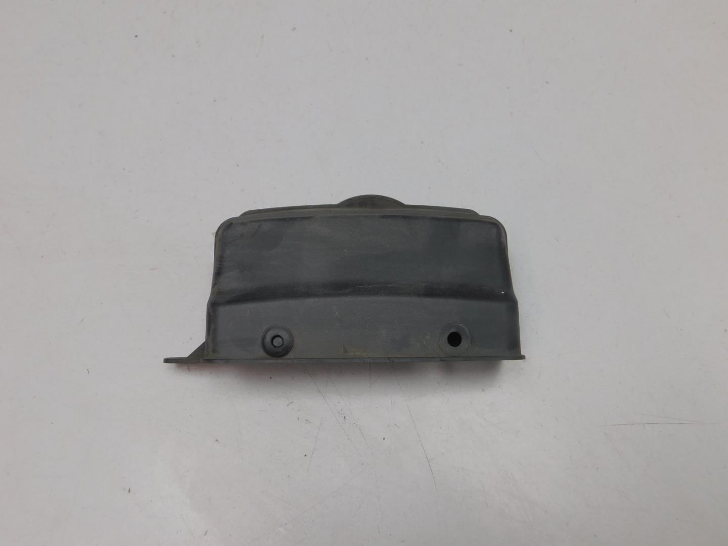 Воздухозаборник (внутри)