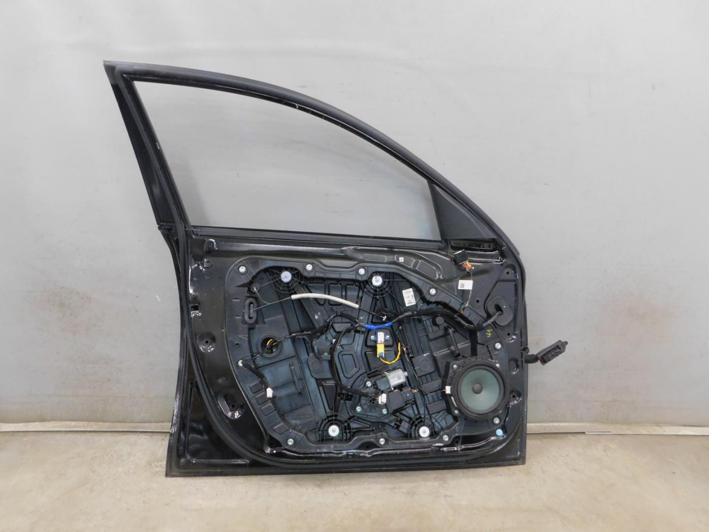 Дверь передняя левая