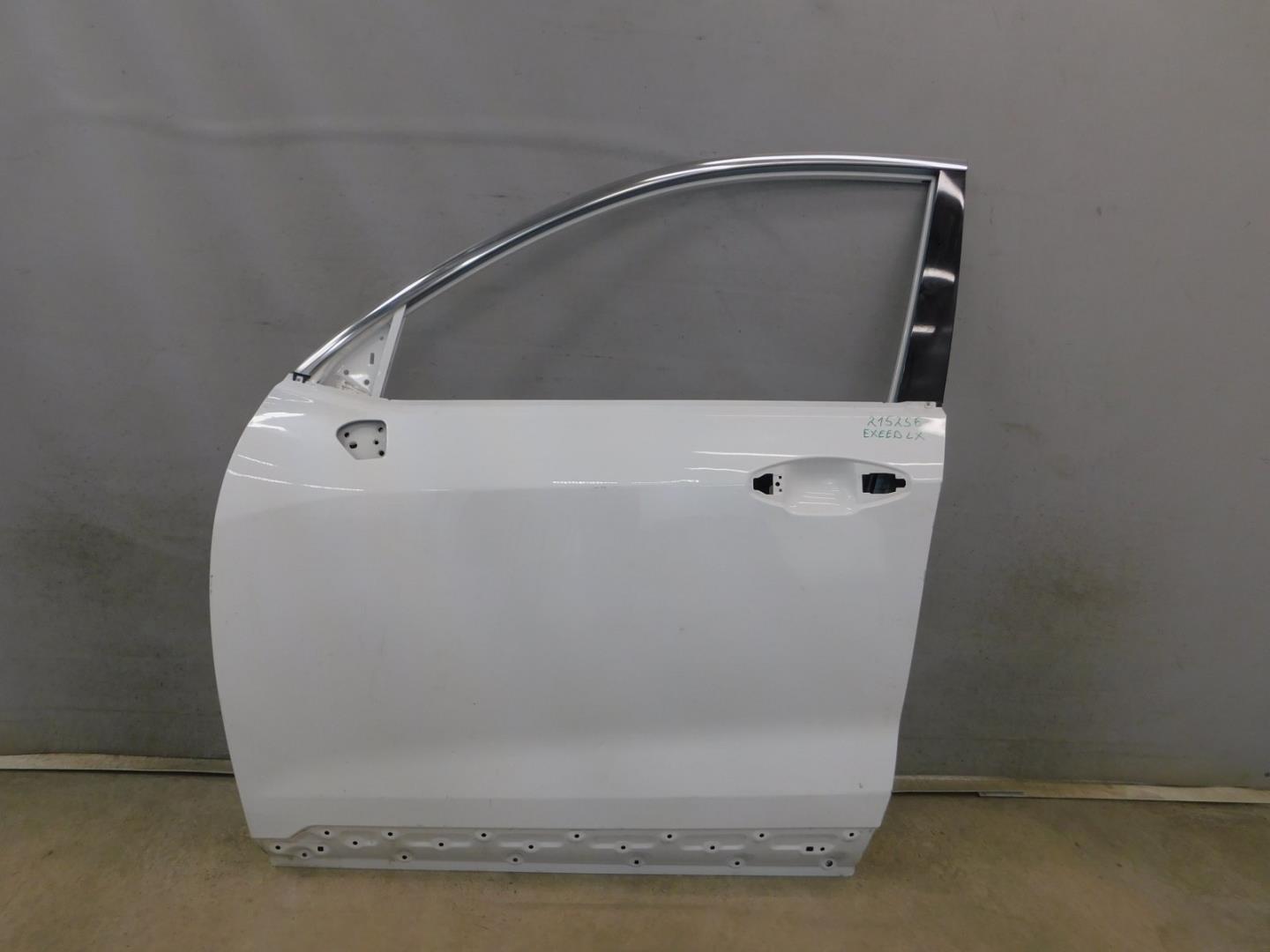 Дверь передняя левая