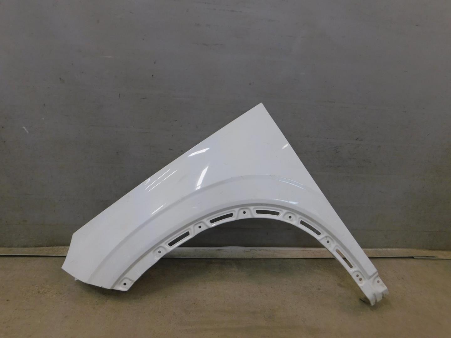 Крыло переднее левое