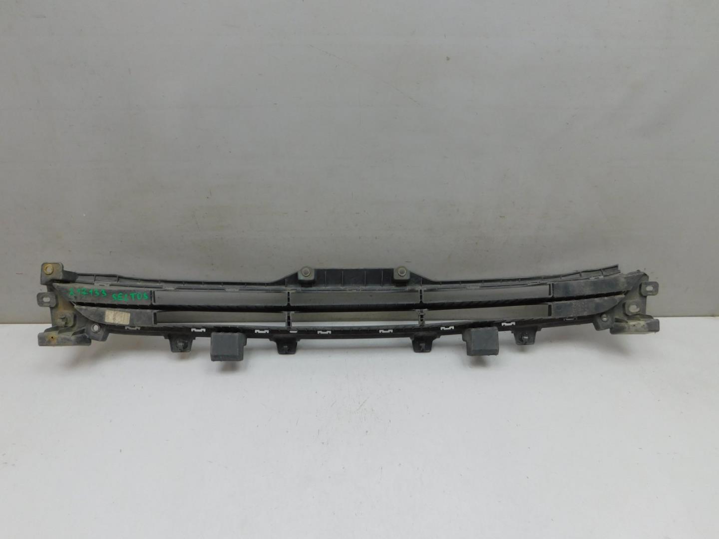 Решетка в бампер центральная