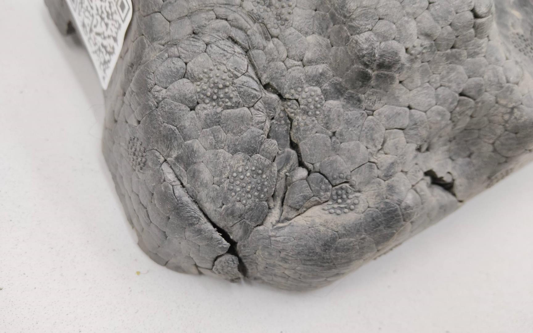 Наполнитель переднего бампера