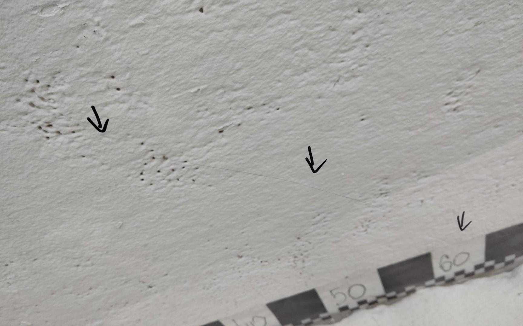 Стекло двери передней правой