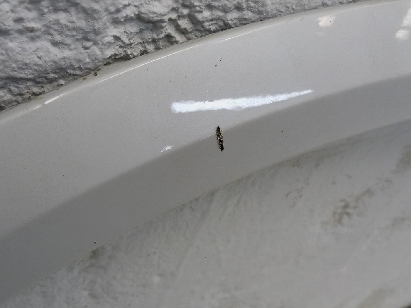 Накладка переднего крыла правого