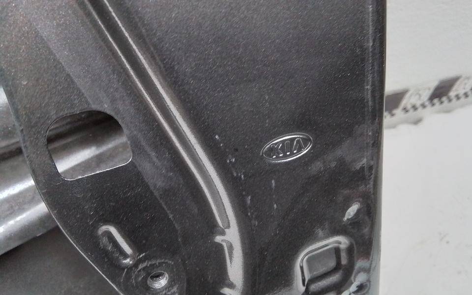 Дверь передняя левая