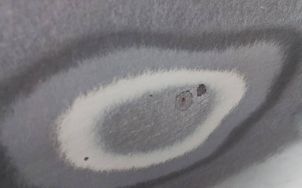 Дверь передняя левая