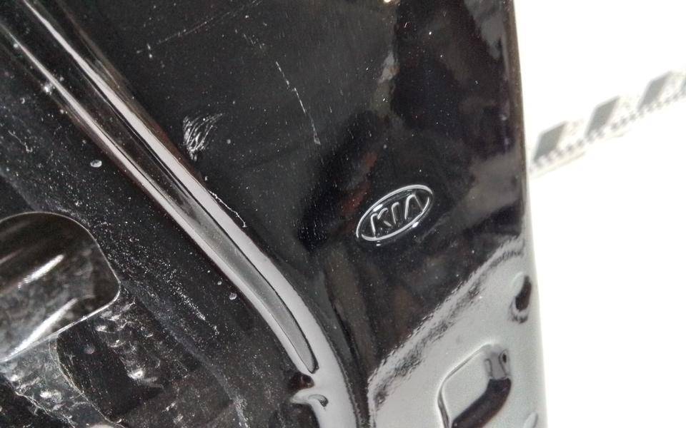 Дверь передняя левая