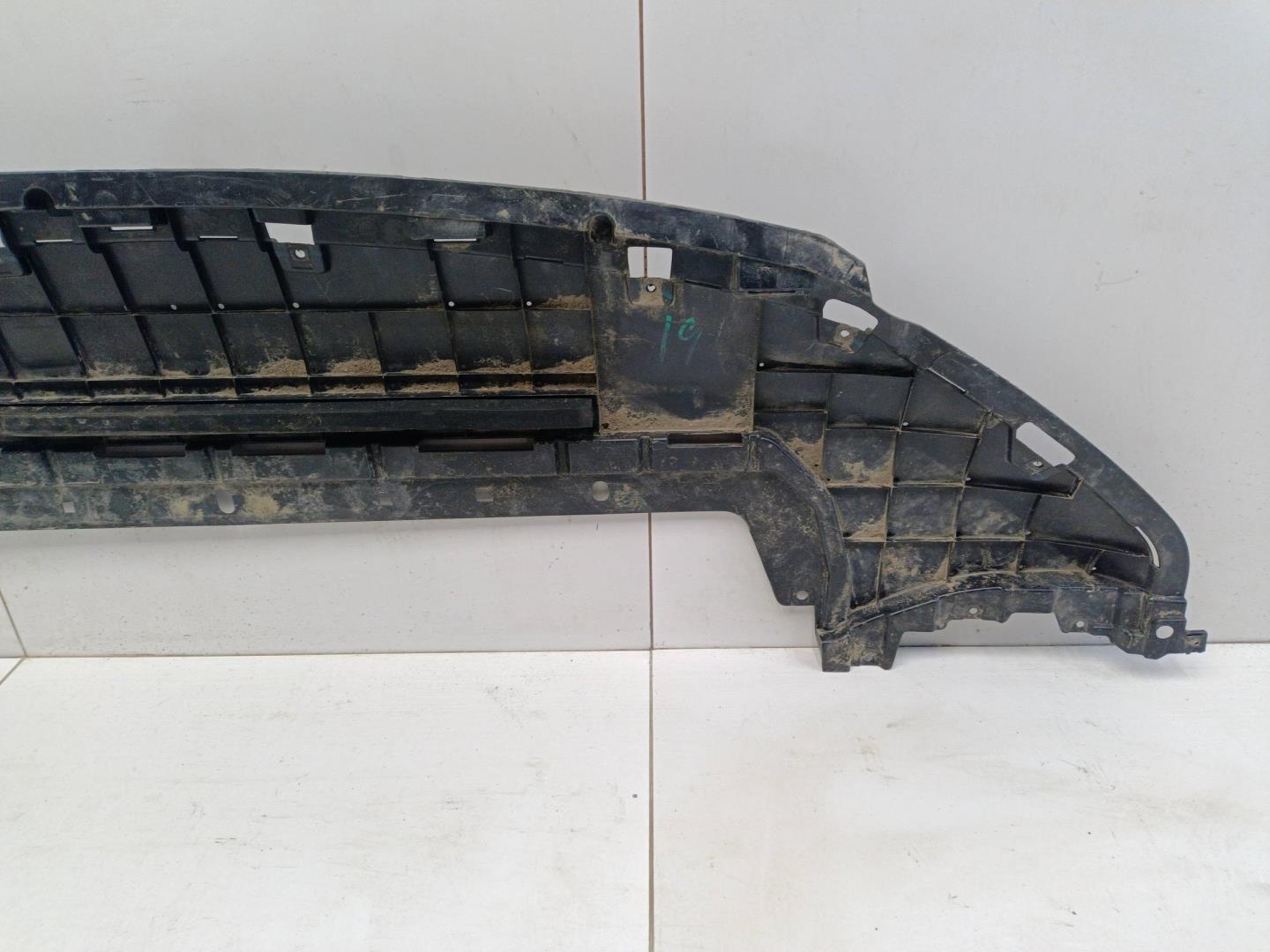 Пыльник двигателя центральный