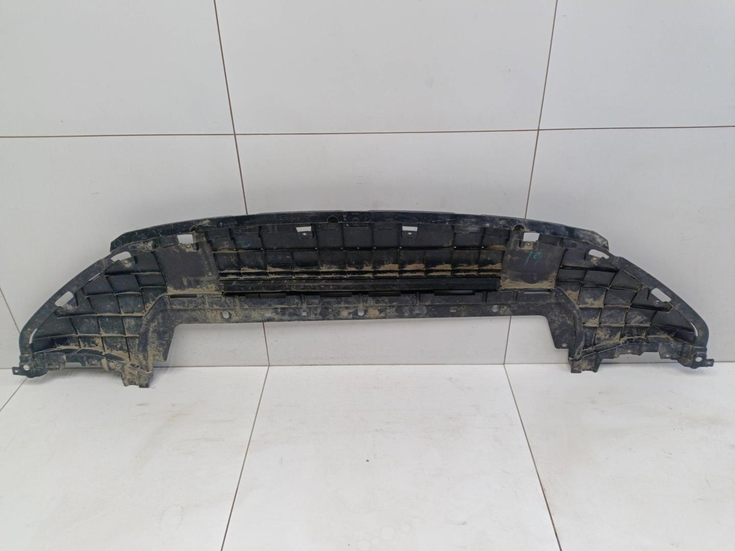 Пыльник двигателя центральный