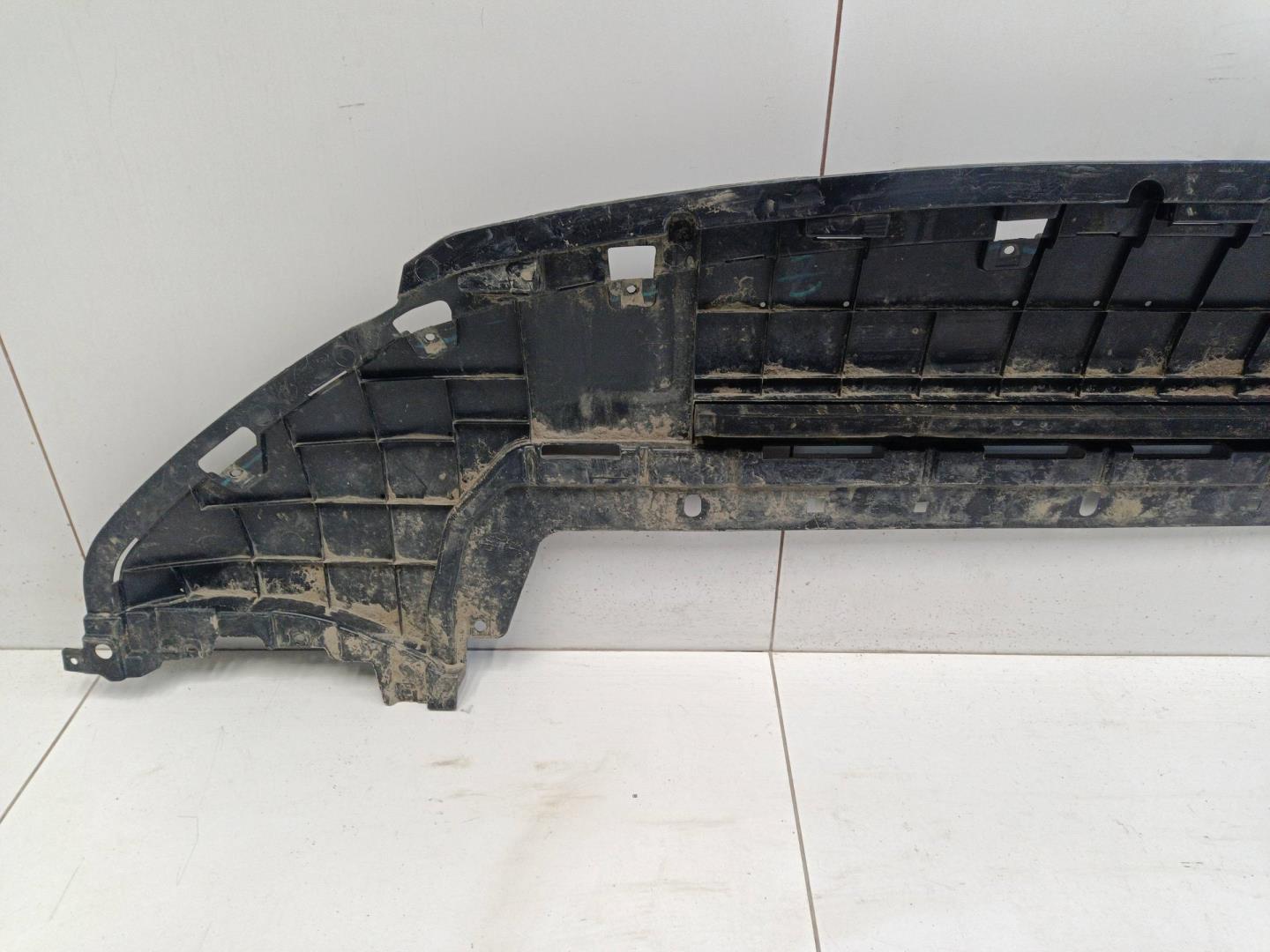 Пыльник двигателя центральный