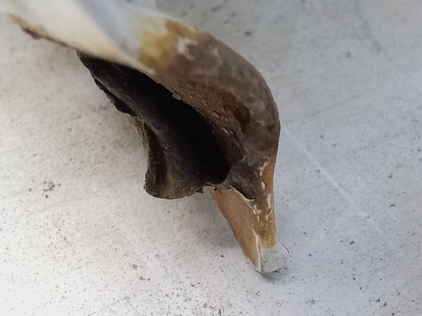 Дверь задняя правая