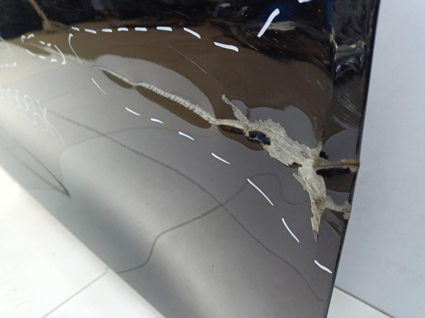 Дверь передняя правая