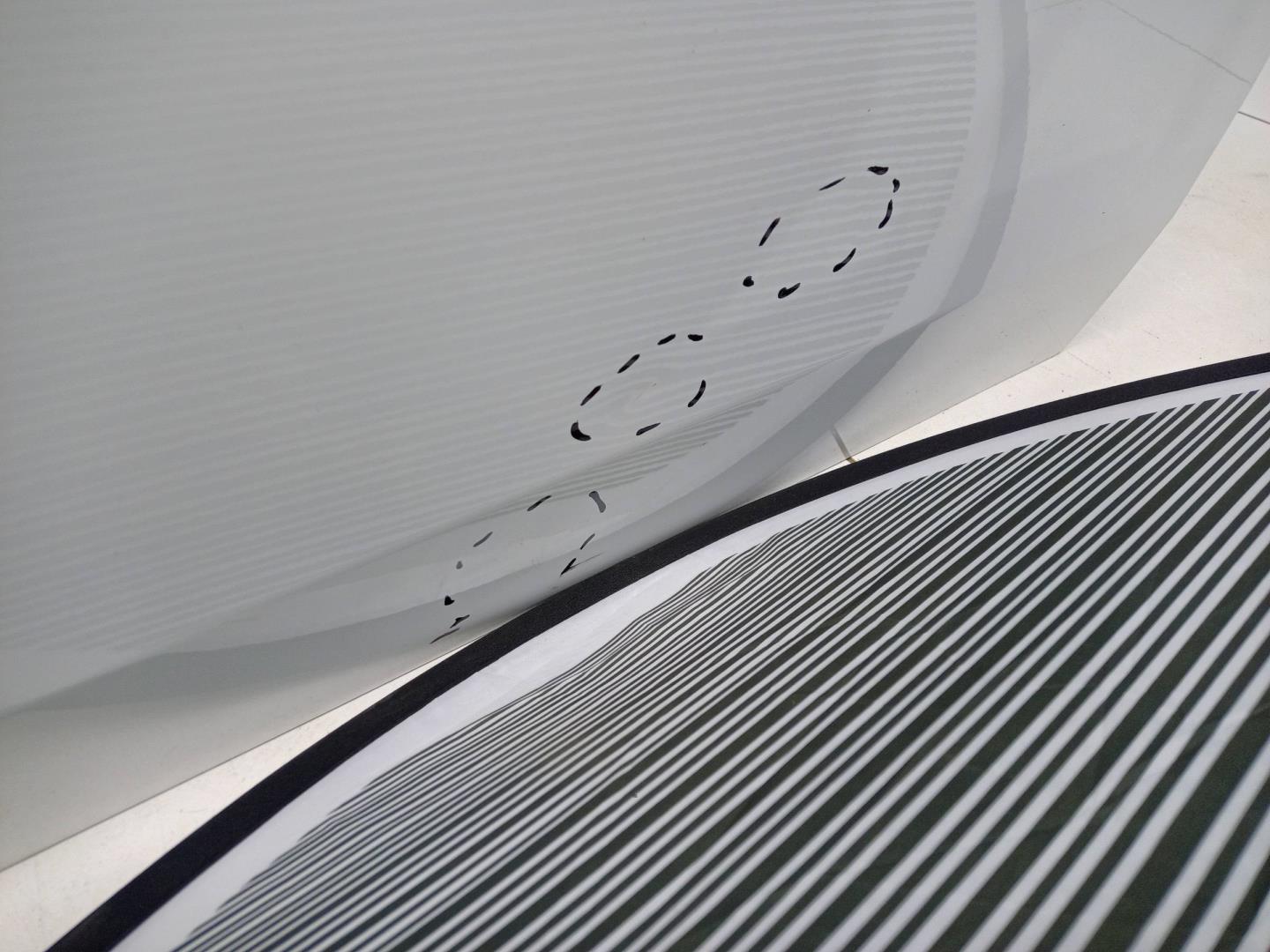 Дверь передняя левая