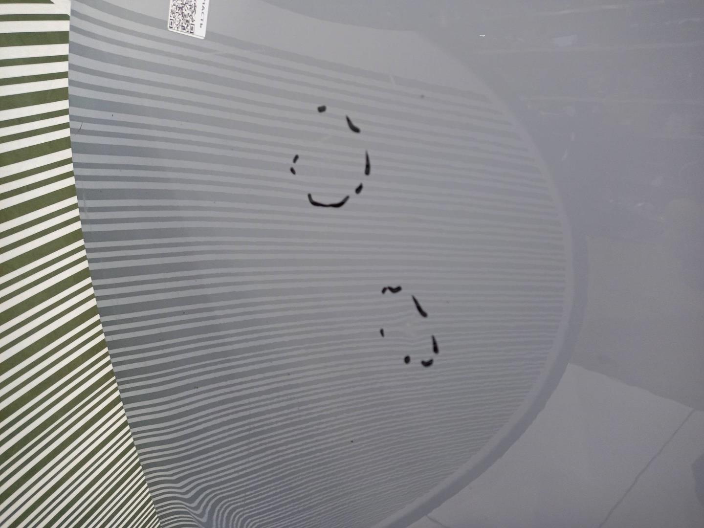 Дверь передняя левая