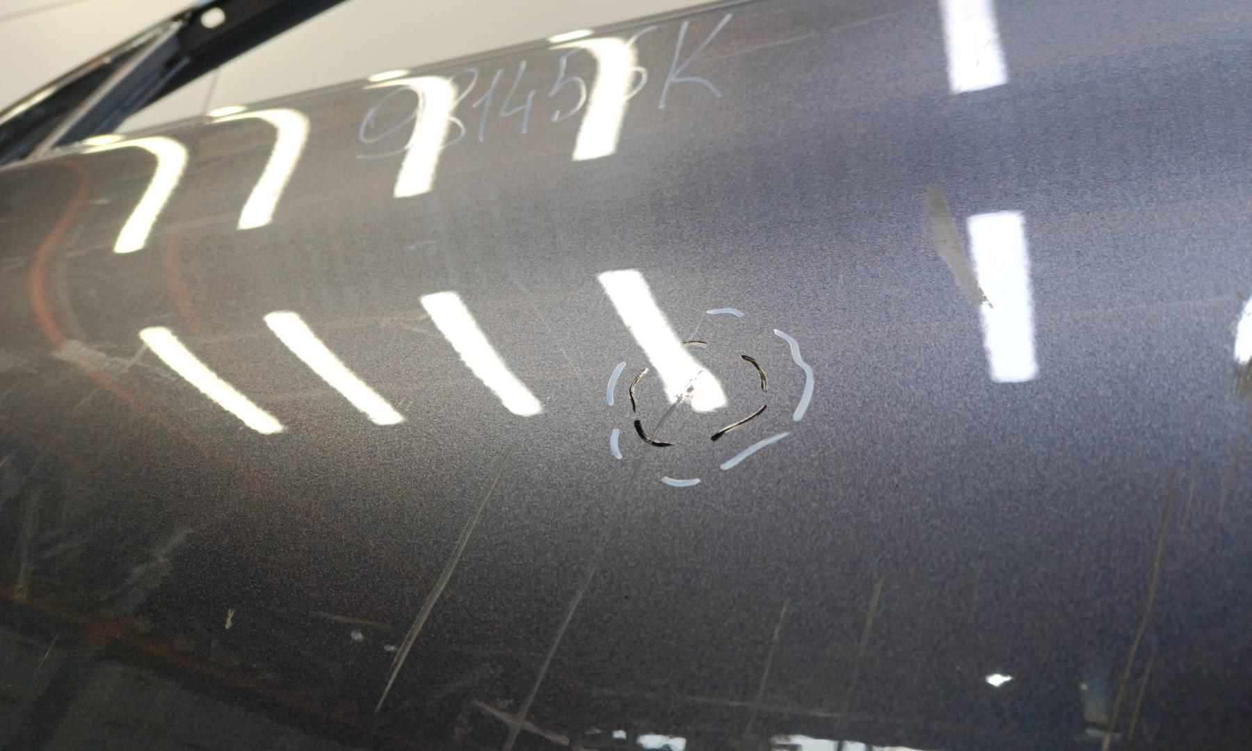 Дверь передняя левая