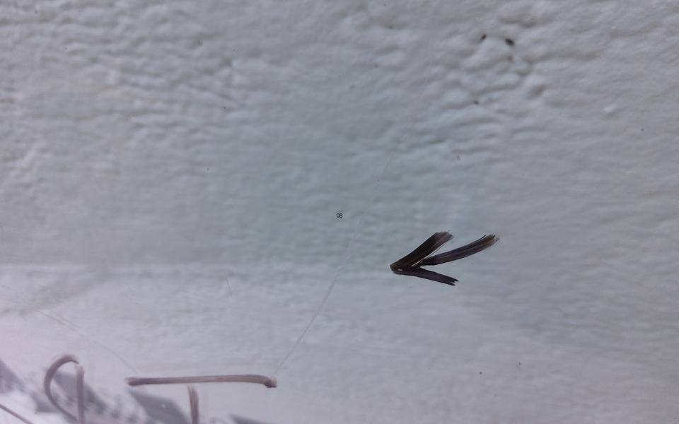 Стекло двери передней левой