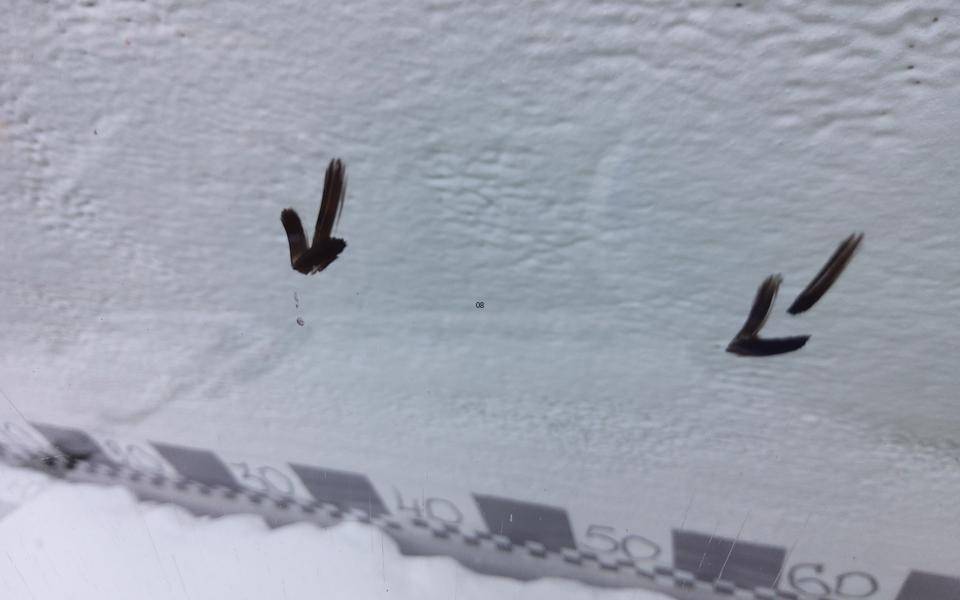 Стекло двери передней левой