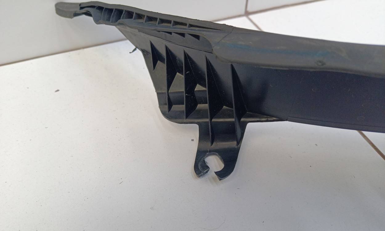 Решетка стеклоочистителей (Жабо)