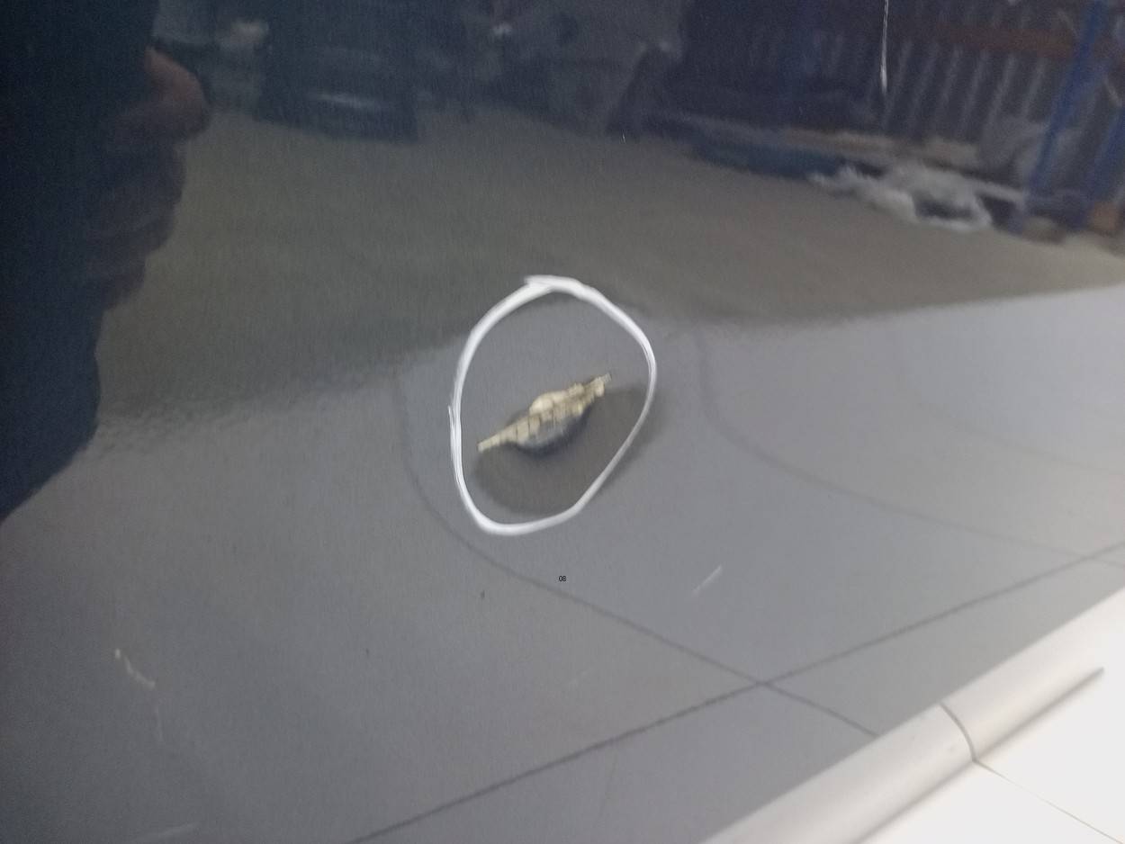 Дверь передняя левая