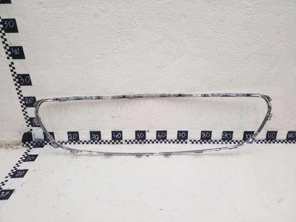 Накладка на решетку радиатора