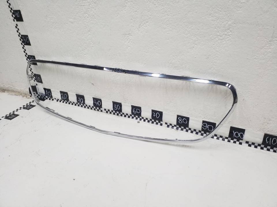 Накладка на решетку радиатора