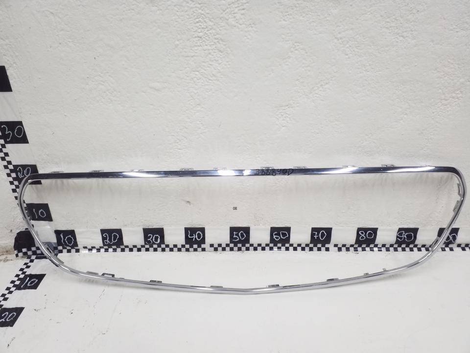 Накладка на решетку радиатора