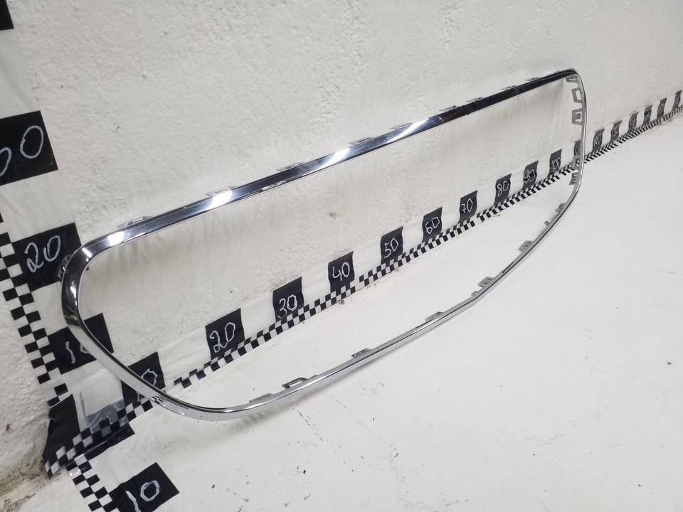 Накладка на решетку радиатора