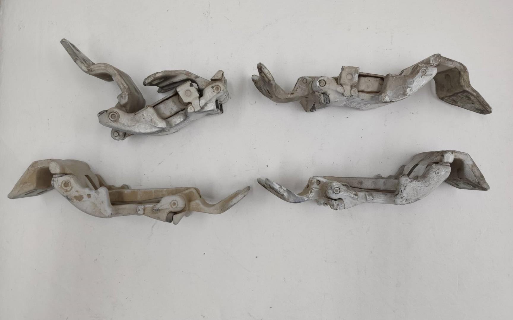 Петля двери задней