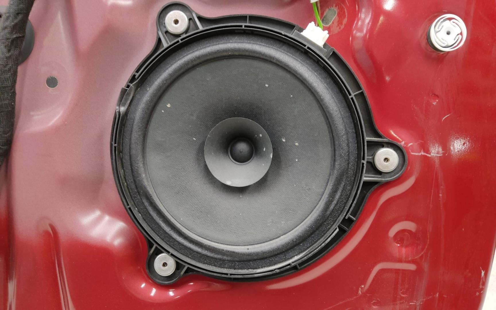 Дверь передняя левая