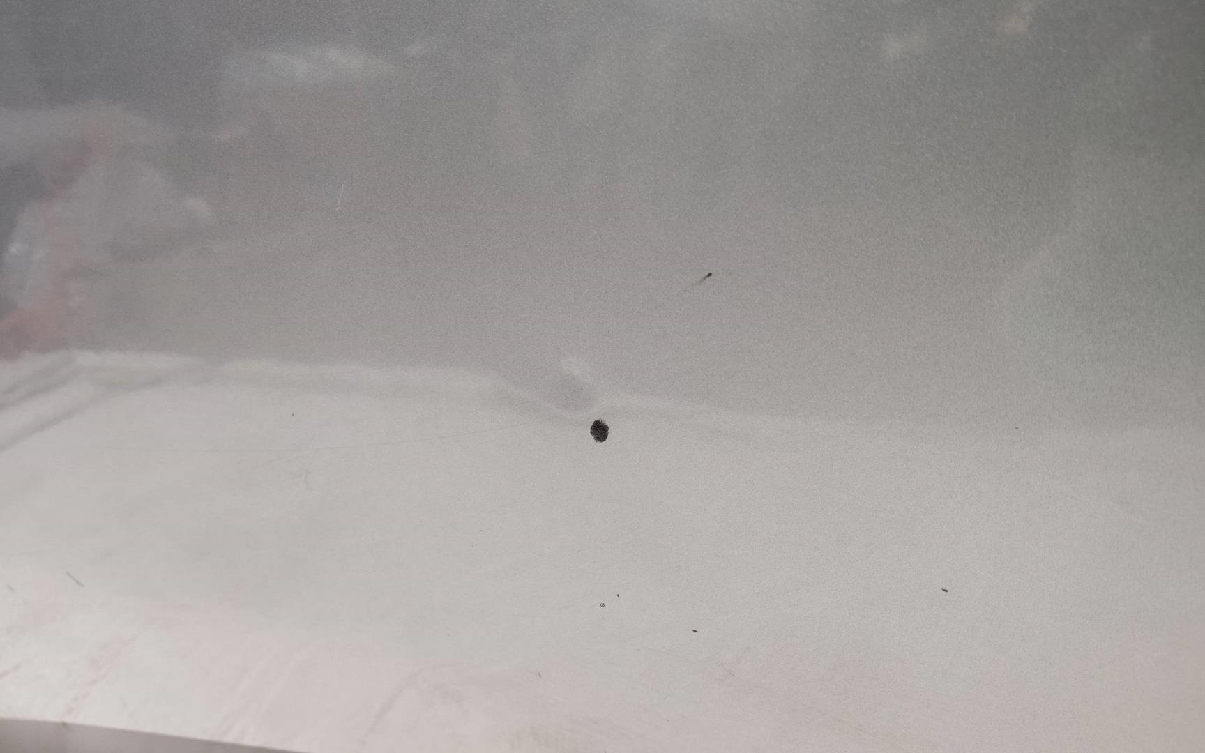 Дверь передняя левая