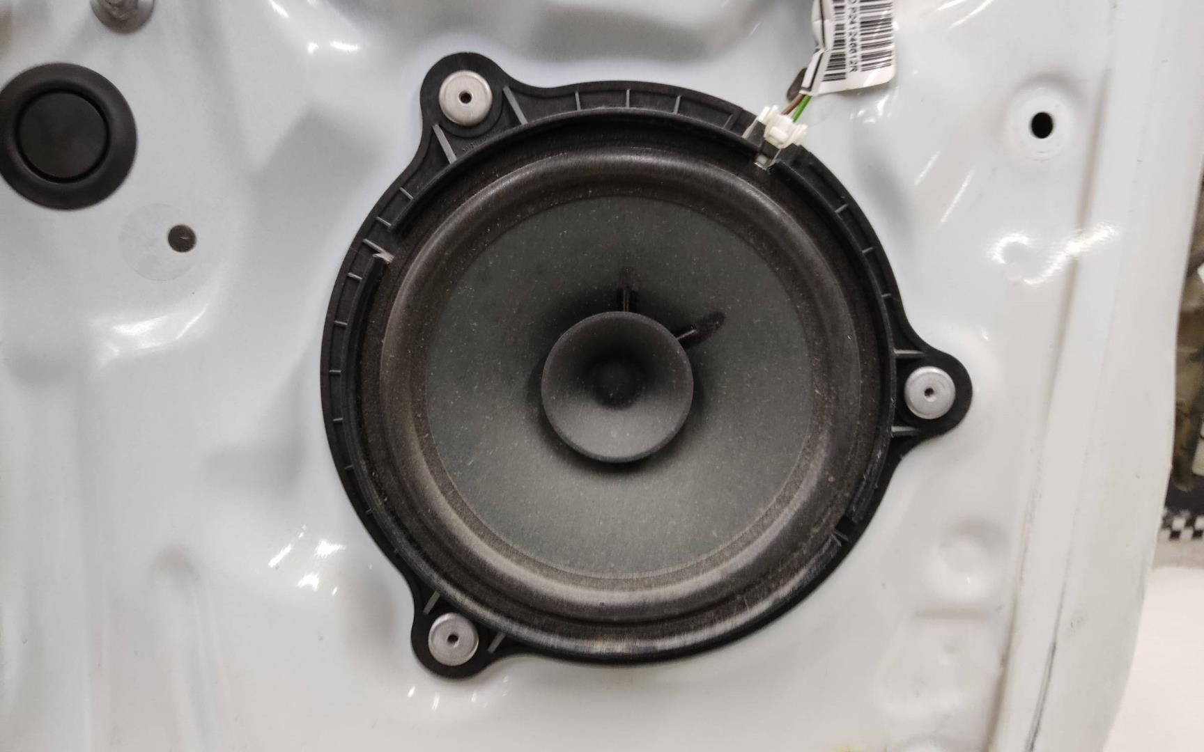 Дверь передняя левая