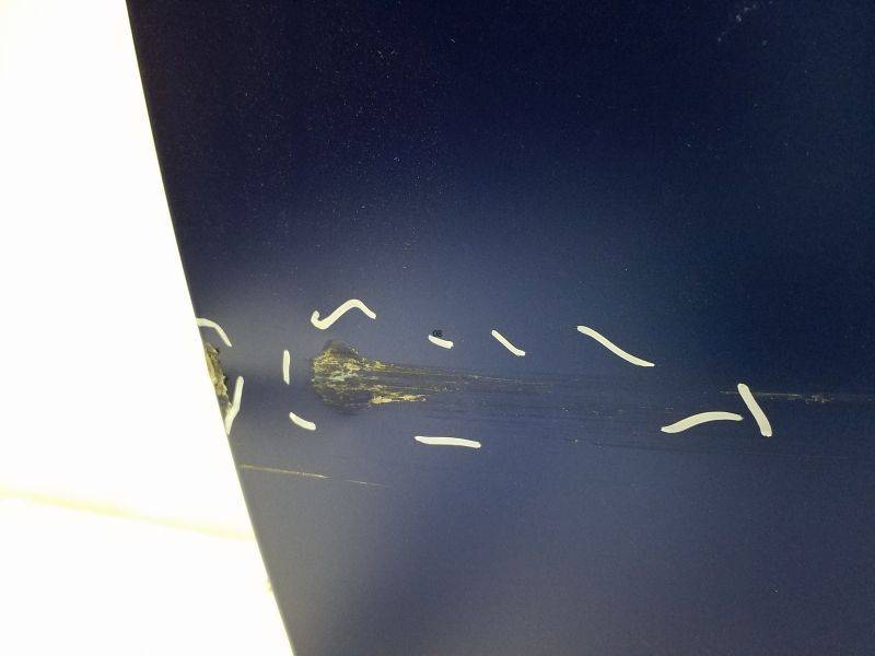 Дверь задняя левая