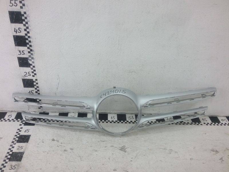 Накладка на решетку радиатора