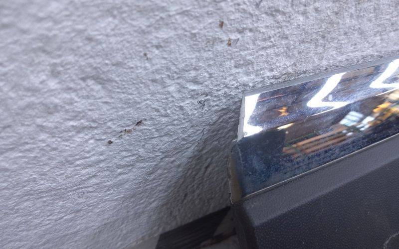 Накладка двери задней левой