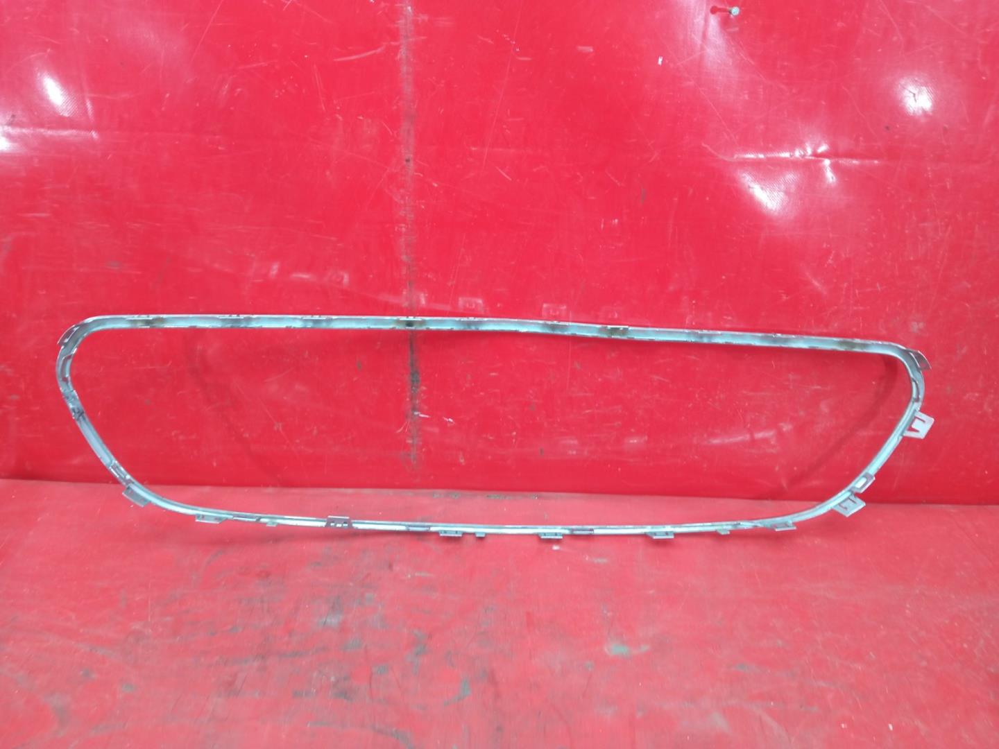 Накладка на решетку радиатора