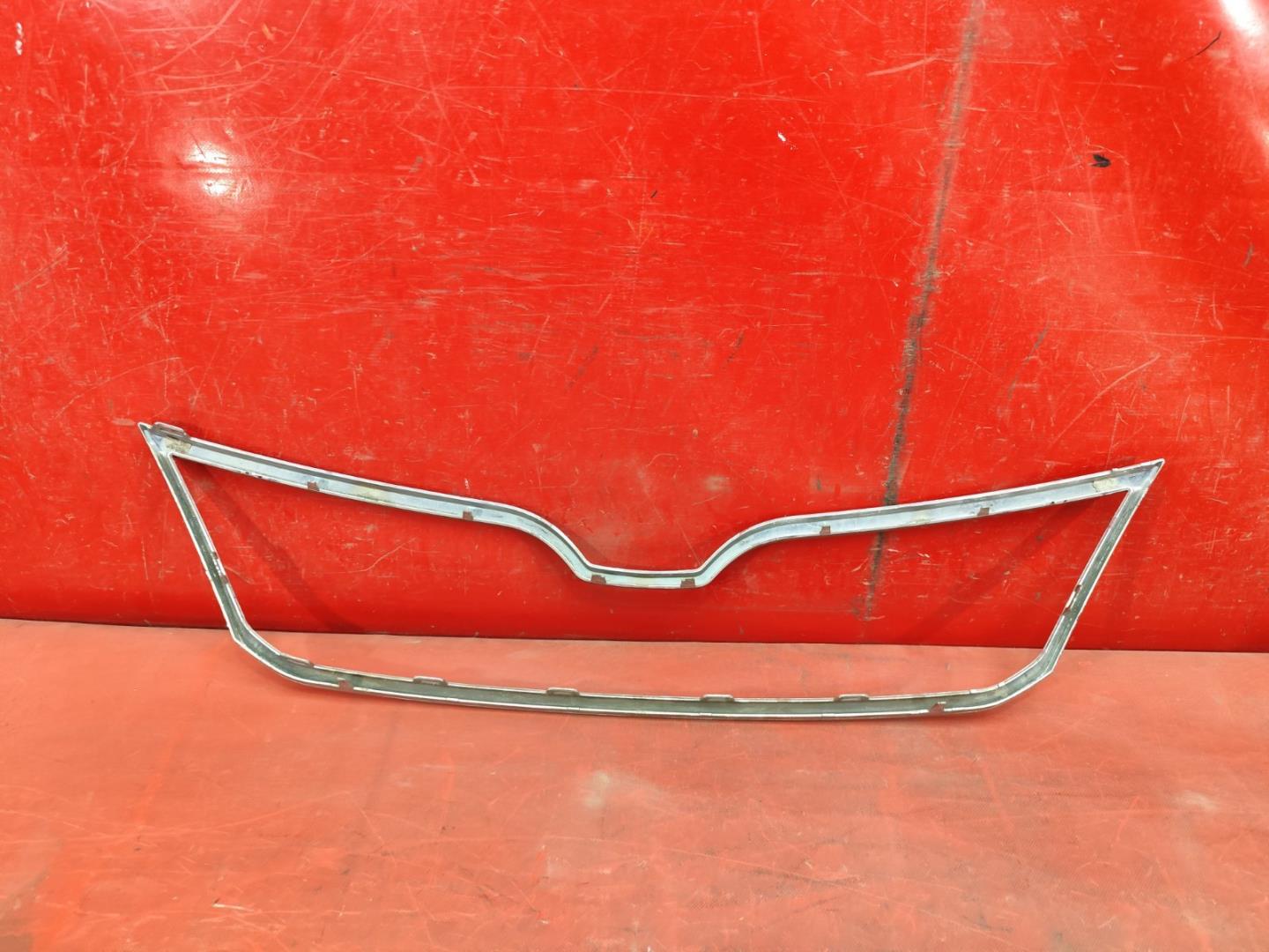 Накладка на решетку радиатора