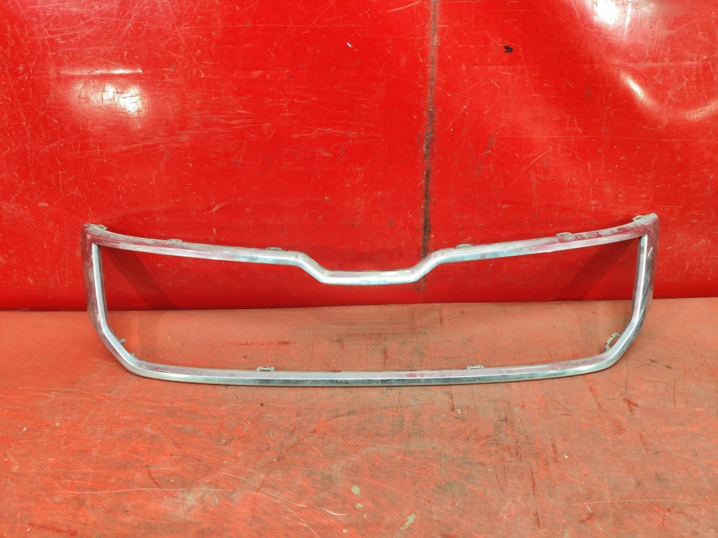 Накладка на решетку радиатора