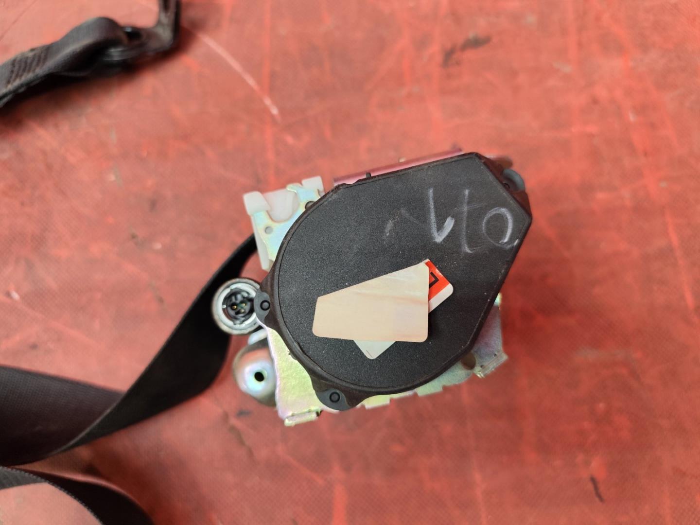 Ремень безопасности